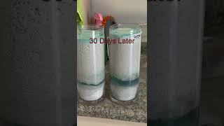 Pond or Dam Water Leak? #fishing #ponds #pondlife #polymer #pond #leaks #clay  #shorts #fish