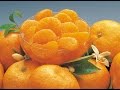 VIDECA. Spanish mandarin orange segments