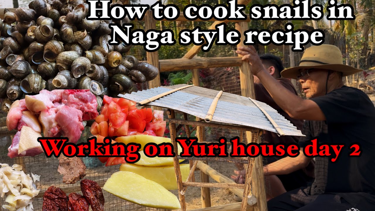 Snails cooked in / Naga styles recipe / making Yuri house day 2🏠