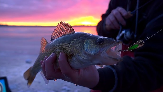 Blade baits for late-ice walleyes on Lake Winnipeg -- In-Depth Outdoors TV  Season 7 Episode 1 