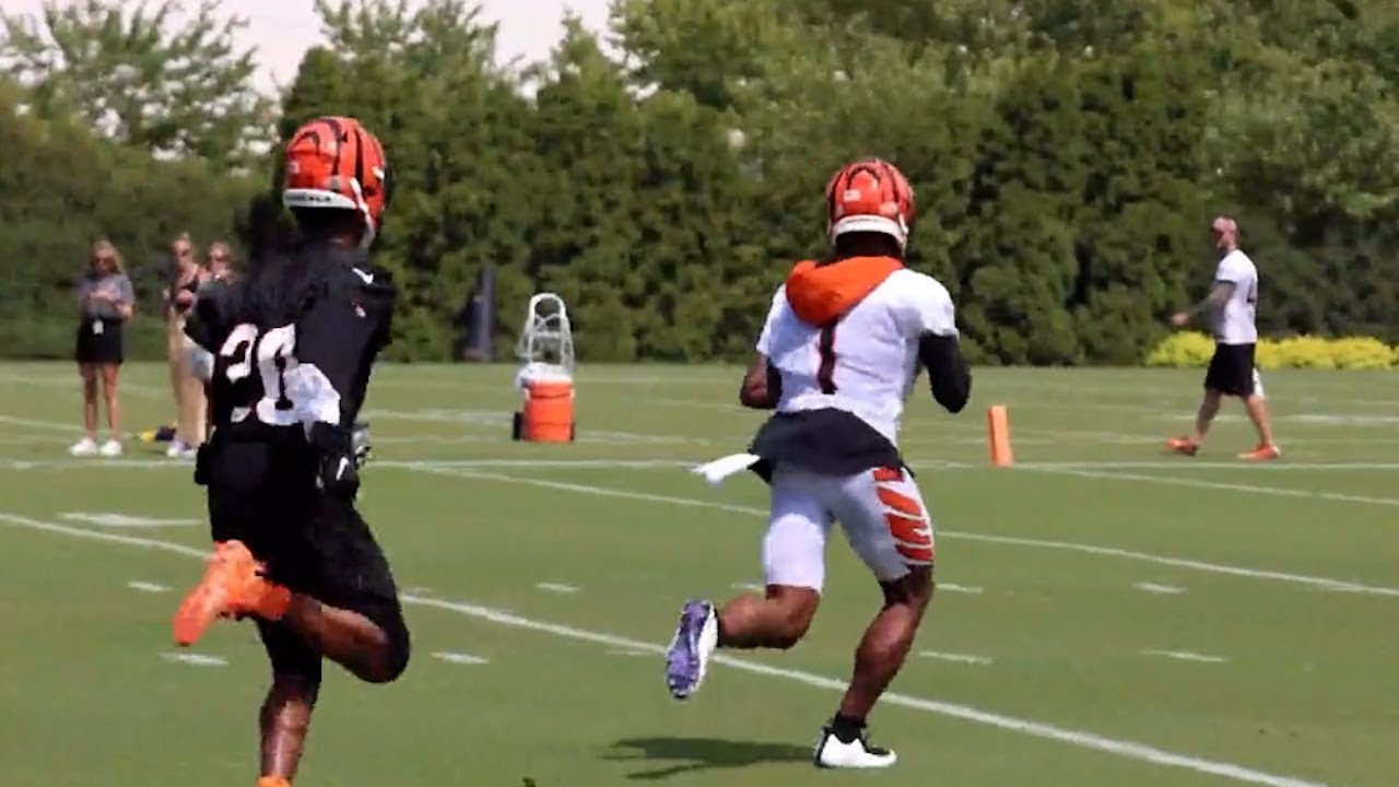 Ja'Marr Chase COOKS Eli Apple in Training Camp