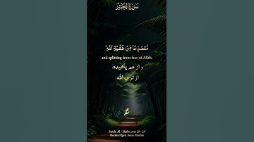 سورة الحشر آیه 21