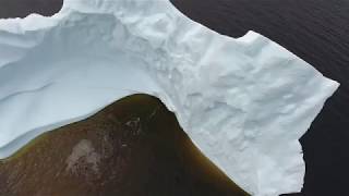 [4K] Stunning drone iceberg footage | Western Newfoundland, Canada