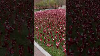 13800 PINWHEELS…Honoring Donors