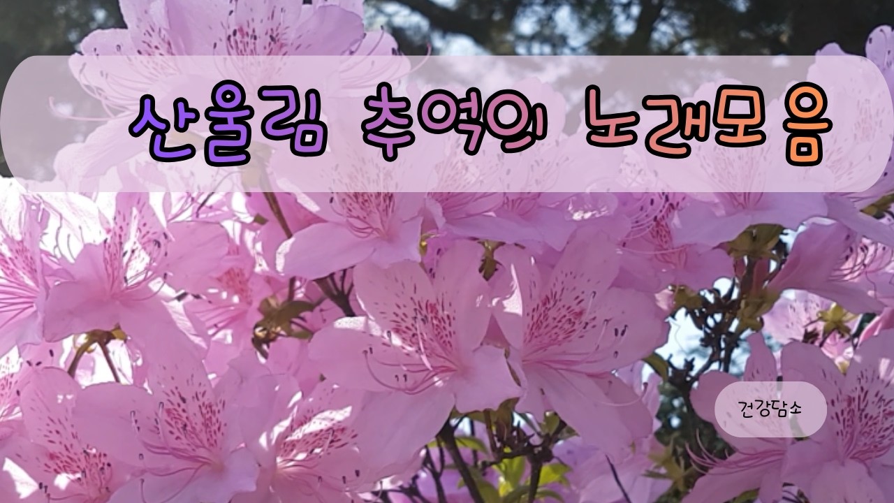 산울림 추억의 노래모음 #일상 #이문세 #추억 #봄 #7080 #60fps #임영웅 #뉴스 #이슈 #음악 #노래 #듣기좋은곡 #노부부 #인생 #눈물 #500subs