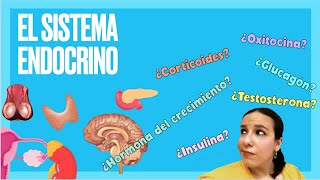 El sistema endocrino y las hormonas - Bio[ESO]sfera