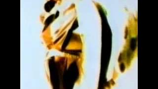 Riblja Čorba - Volim, volim, volim, volim žene - Official Video