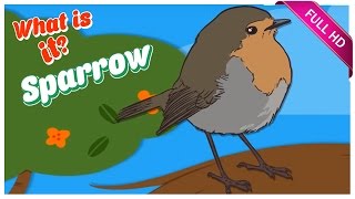 What is it - Sparrow | Learning Birds | Fun Learning Videos for Children | Kids Videos screenshot 5