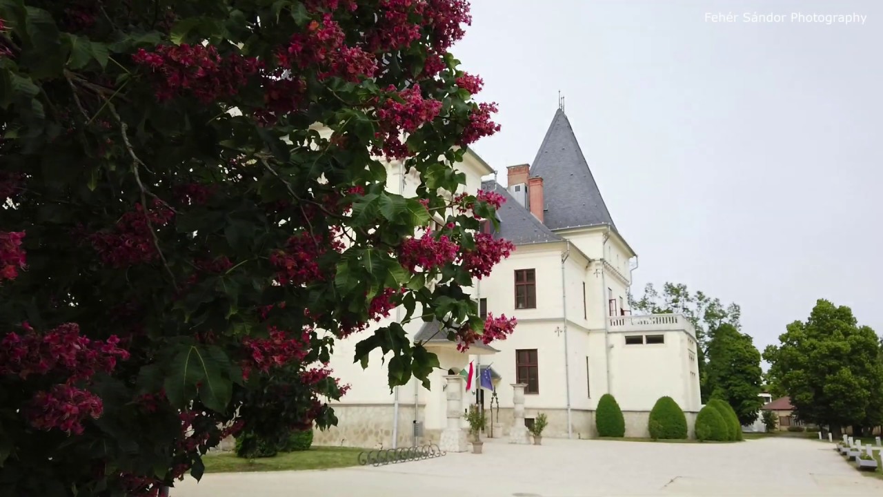 Andrássy kastély, Tiszadob  4k .