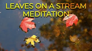 Leaves on Stream Meditation | Leaves on Stream Mindfulness | Stream Meditation - Stop Overthinking