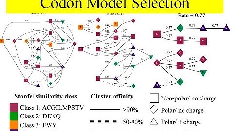 codon model selection CMS | adoptive selection | Datamonkey | Positive selection | Stanfel similarit