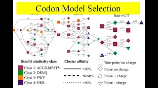 codon model selection CMS | adoptive selection | Datamonkey | Positive selection | Stanfel similarit