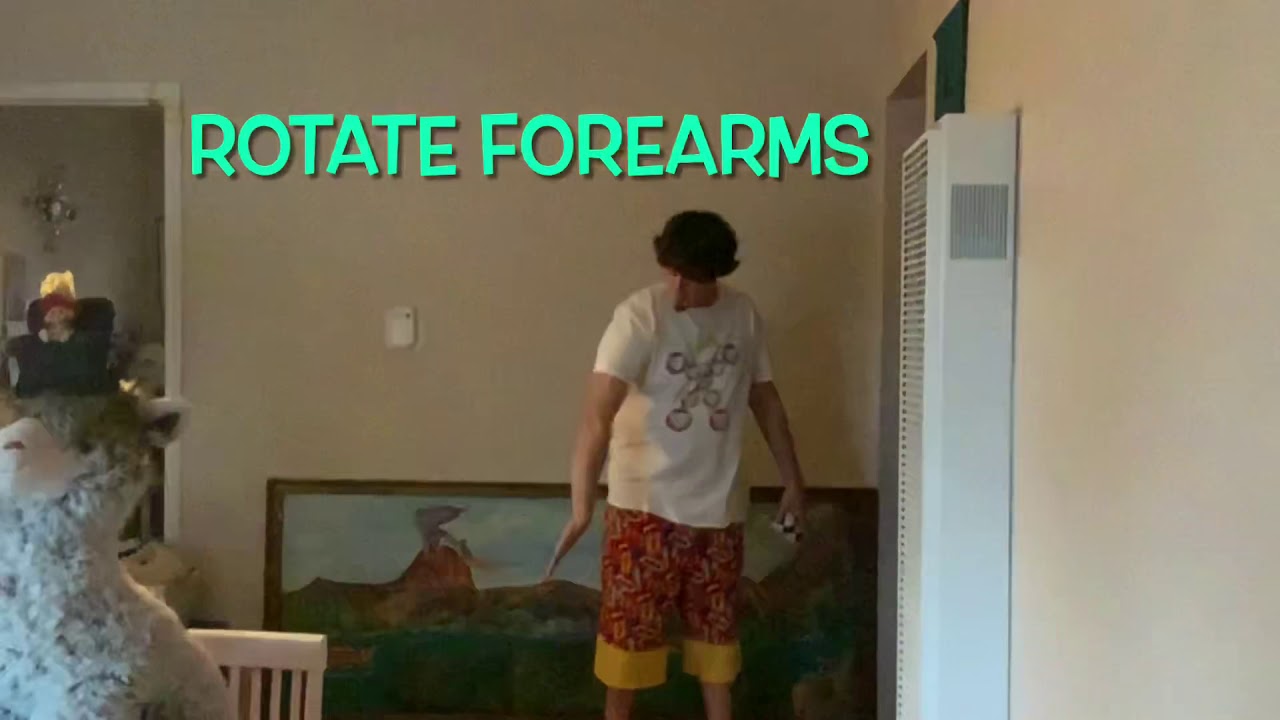 How To Juggle Penguin Catches