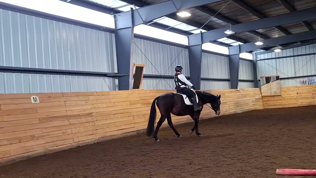 Krista Ryall Freyja wt B feb 22 2026