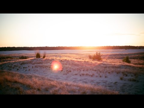 Jobbe Hoebink Live Stream