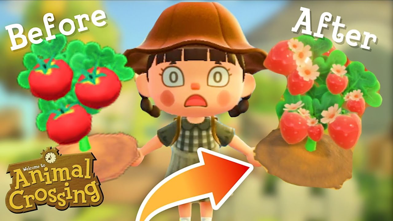 Is Modding The FUTURE of Animal Crossing: New Horizons?! - YouTube