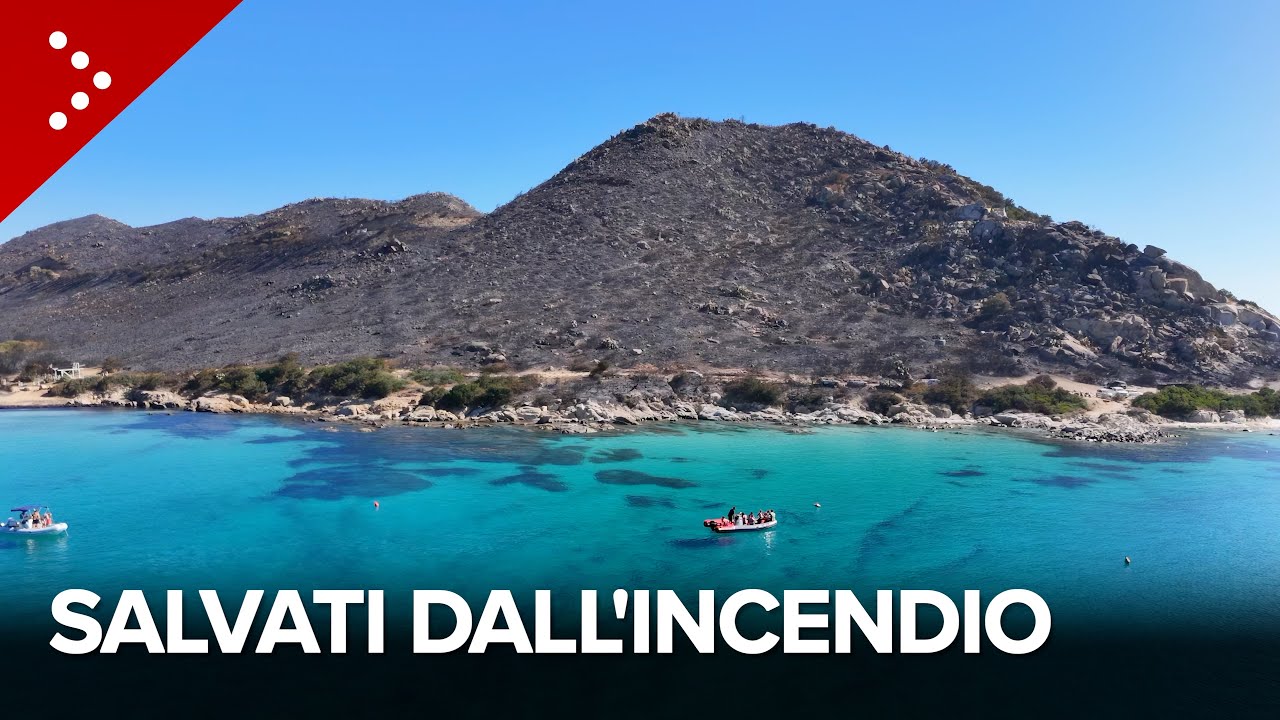 Sardegna, quello che resta dopo gli incendi. Il racconto di chi si è salvato: 