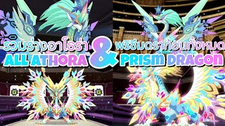 รวมร่างอาโธร่า & พริซึมดราก้อนทั้งหมด All Athora & Prism Dragon (Buddyfight X)