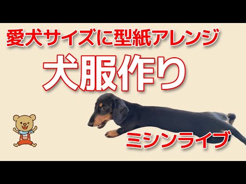 あいちゃん  犬服 ハンドメイド 超簡単•犬服作り方】100均だけで可愛い名前入り刺繍スタイの