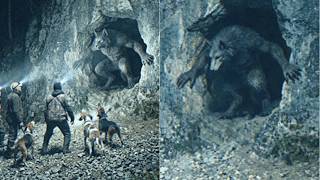 Hunters Claim They Cornered a Dogman in the Ozarks — Dogman Encounter Story [