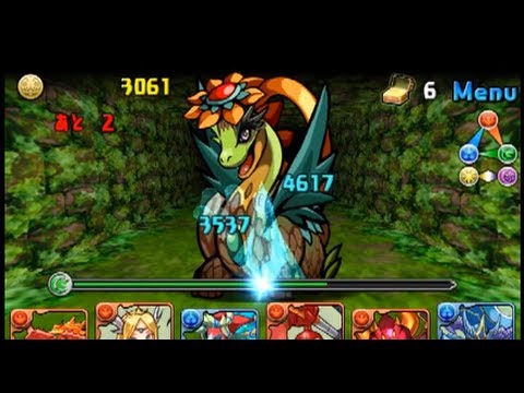 【パズドラ】 霊峰バッケス　霊峰の大花龍　攻略　puzzle & dragons