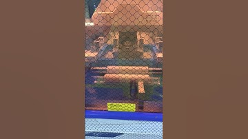 Automatic Solder Paste Printing Machine👩‍🔧 #scspcba #pcb #pcba