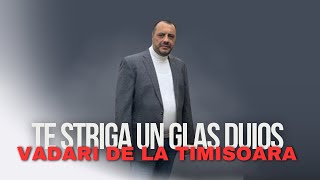 Vadari de la Timisoara - TE STRIGA UN GLAS DUIOS (Video Oficial) 2024