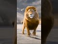 مهبول لا تكول مزال كنبغيك