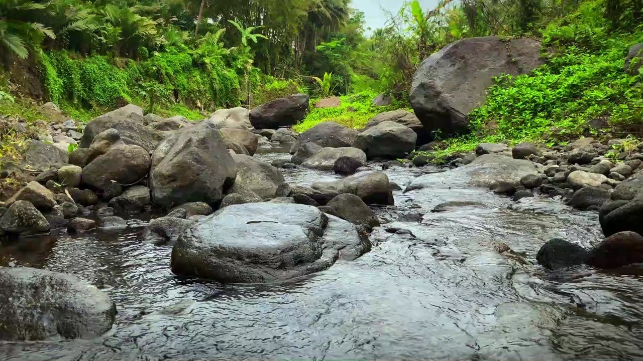 Relaxing River Sounds for Meditation | Soothing Water Flow for Balance
