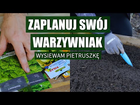 Wideo: Jak pomaga nam warzywniak?