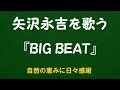 『BIG BEAT』/矢沢永吉を歌う_6199 by 自然の恵みに日々感謝