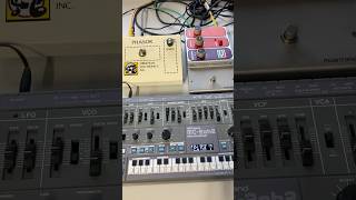 Oberheim Phasor versus Mu Tron Phasor II #oberheim #mutron