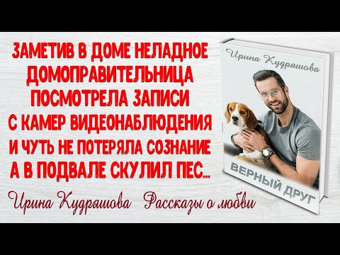ВЕРНЫЙ ДРУГ. Очень интересный рассказ. Ирина Кудряшова.