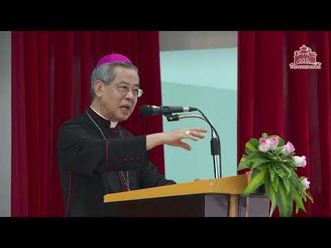 Video Huấn từ về Giáo hội hiệp hành: Hội nghị Tiền-Thượng... - youtube