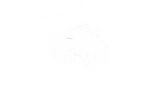 flash animation.avi