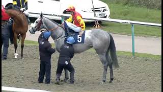 RACE 6 19:00 Lingfield 14 Apr 2026