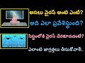 What is Computer Virus? How Its Will Attack and What Precotions will take for Safty