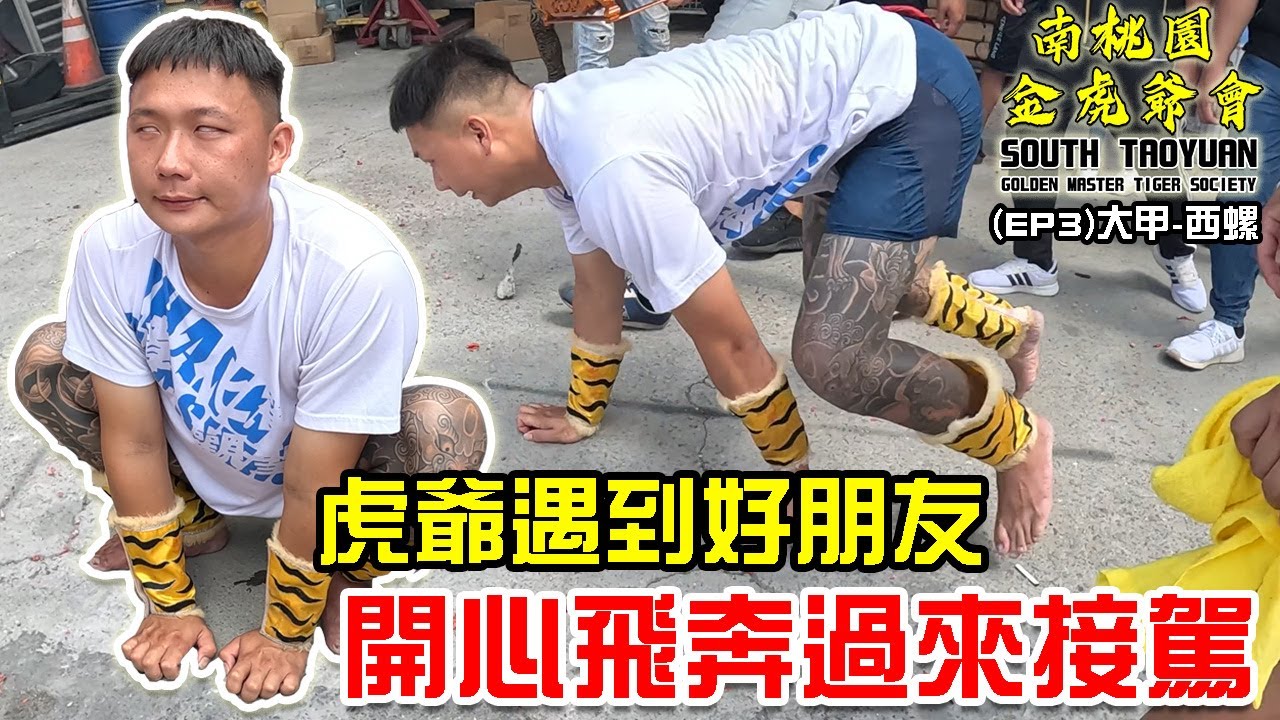 【南桃園金虎爺會】EP3 虎爺沿路遇到好多好朋友!!還遇到飛奔過來接駕的!!大甲-西螺!! 永生難忘的一段路!