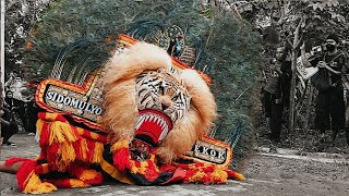 Reog Ponorogosolah Penak Pembarong Singo Mulyo  Reogan Di Ngembag Ronowijayan