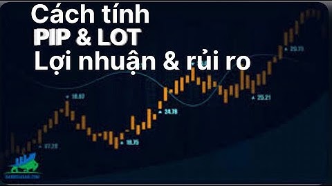 Hướng dẫn tính Lot , Pip Trong  giao dịch Forex