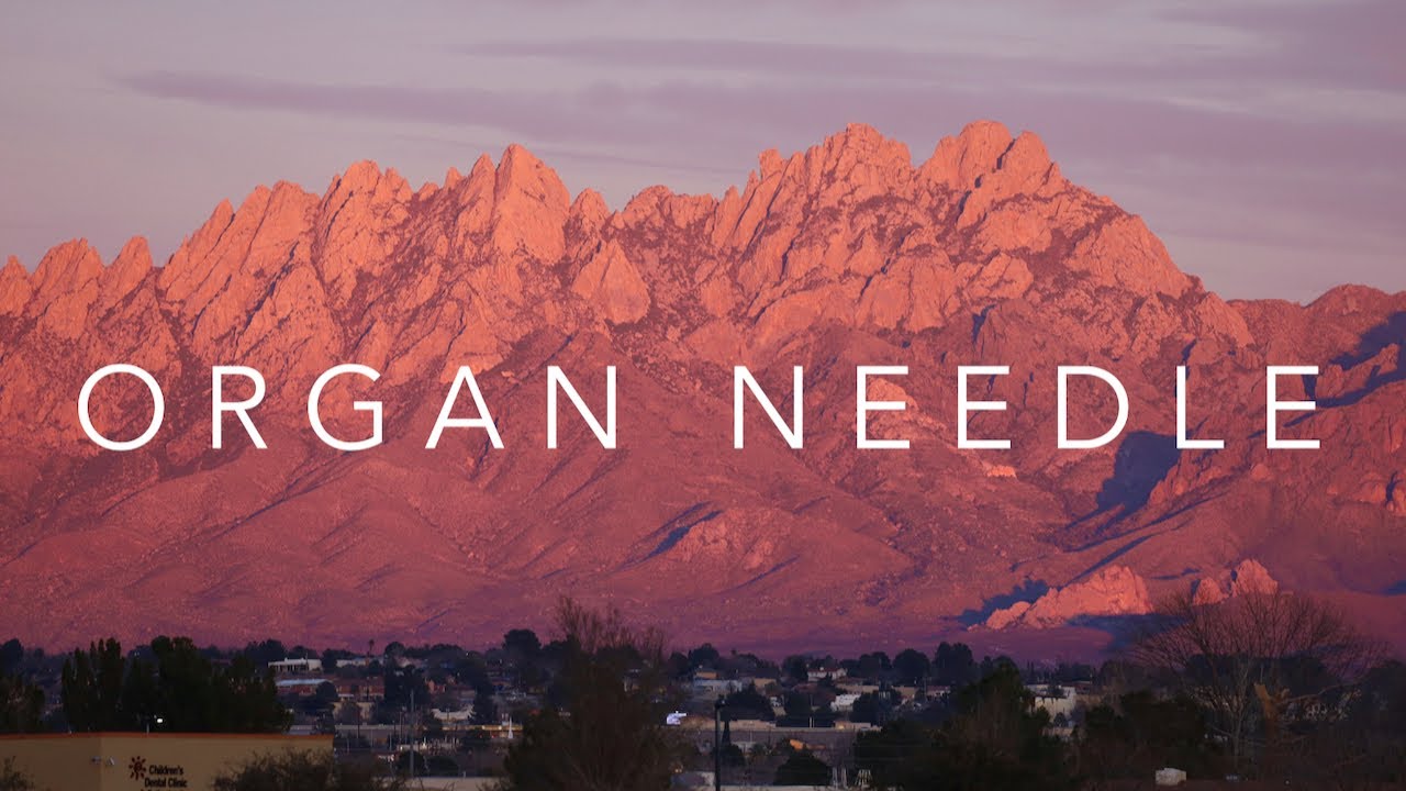 Organ Needle New Mexico YouTube