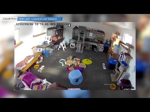 YouTube player