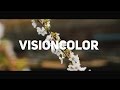 VisionColor | Цветовой профиль Canon