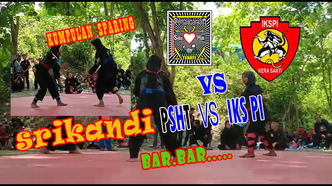 PSHT vs IKS PI sparing adu skill kumpulan srikandi