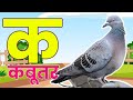 K se kabutar | क से कबूतर, ख से खरगोश, हिंदी वर्णमाला,क ख ग, अ आ इ ई, ,#kidsongs