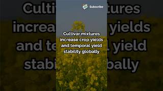 Cultivar mixtures increase crop yields and temporal yield stability globally #agriculture #crops
