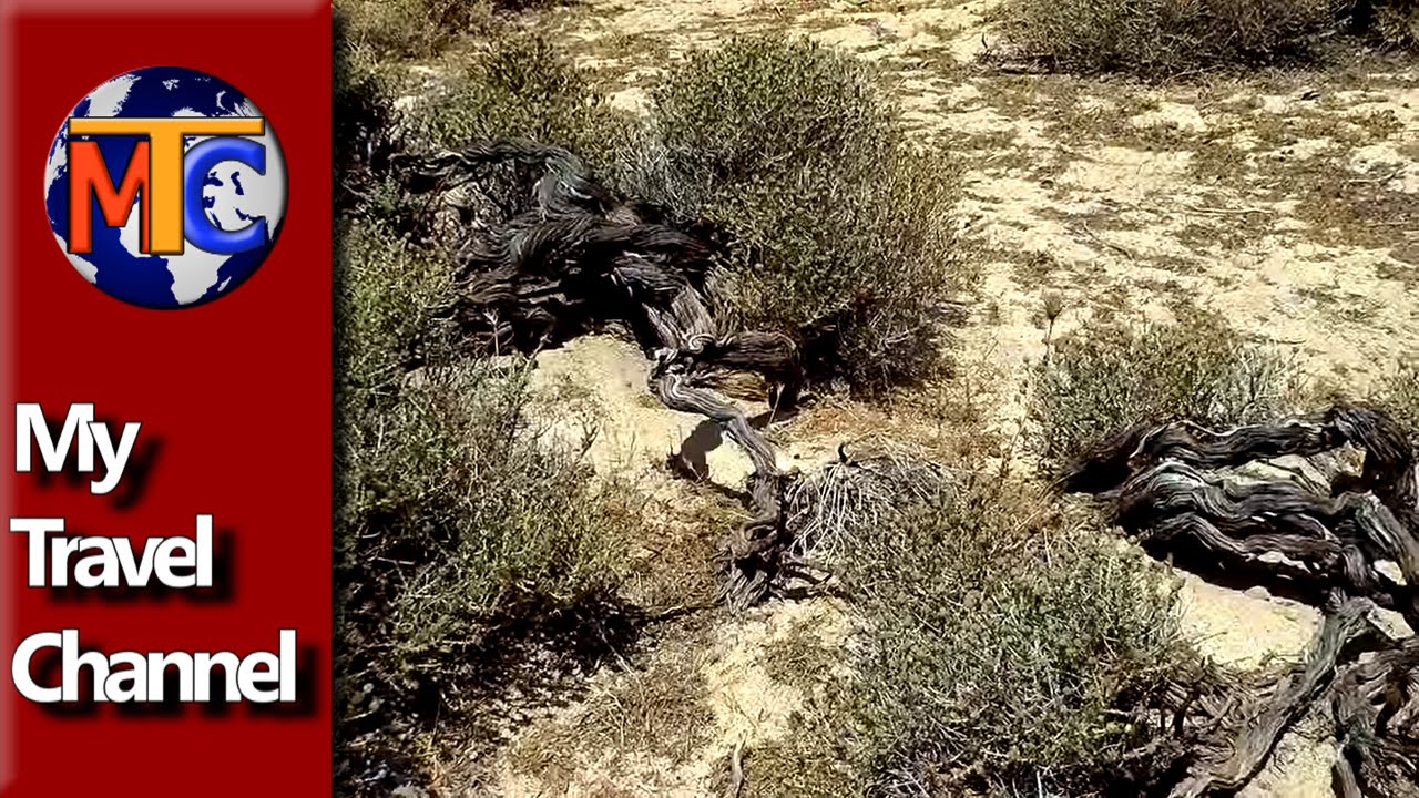 My Trip To Kedrodasos Beach - Crete ✔