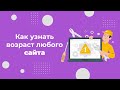 Как узнать возраст сайта и домена: 3 простых способа
