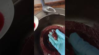 Что такое сусло? Что такое мезга? #виноделие #вино #виноград