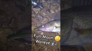 Full Moon Walleye on Rapala X-Rap bonus River Monster Encounter